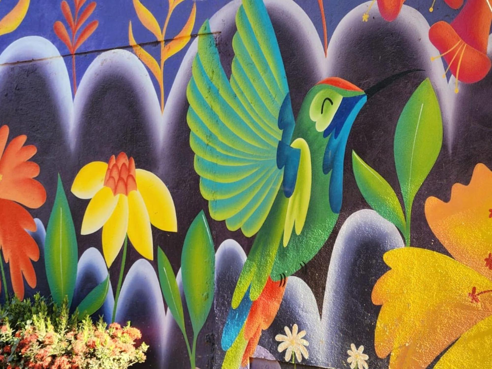 فندق Casa Colibri بالومينو المظهر الخارجي الصورة