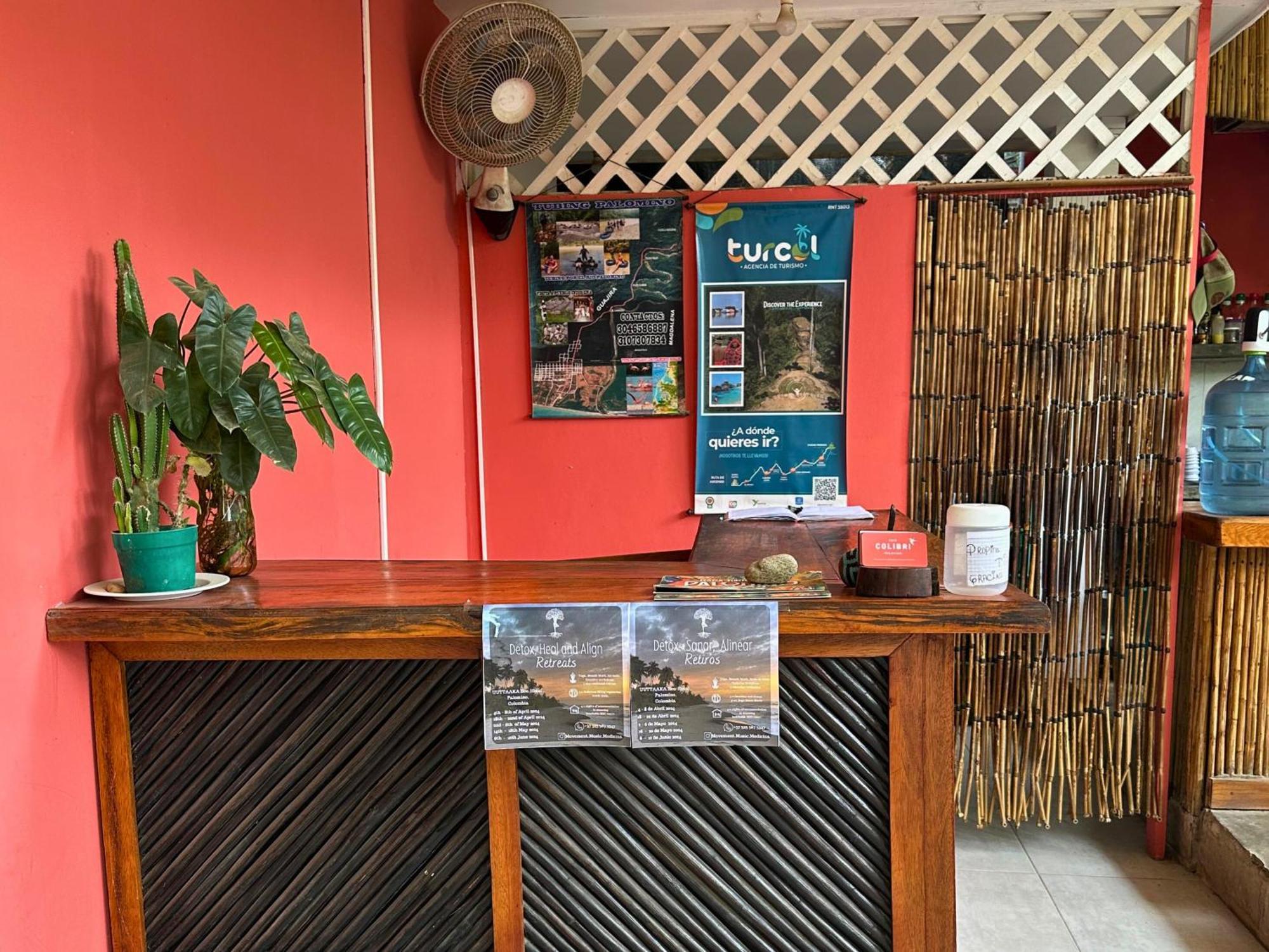 فندق Casa Colibri بالومينو المظهر الخارجي الصورة