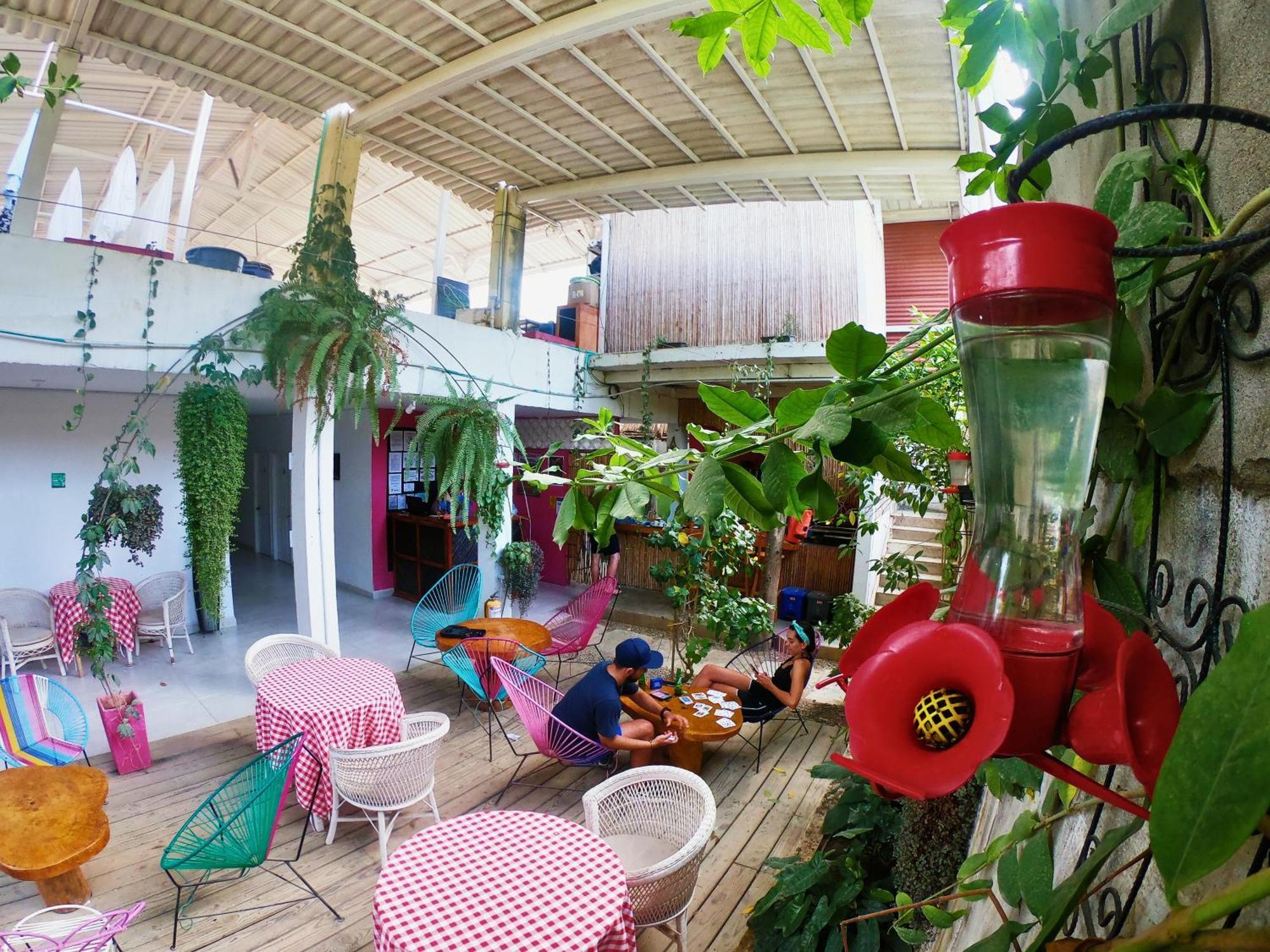 فندق Casa Colibri بالومينو المظهر الخارجي الصورة