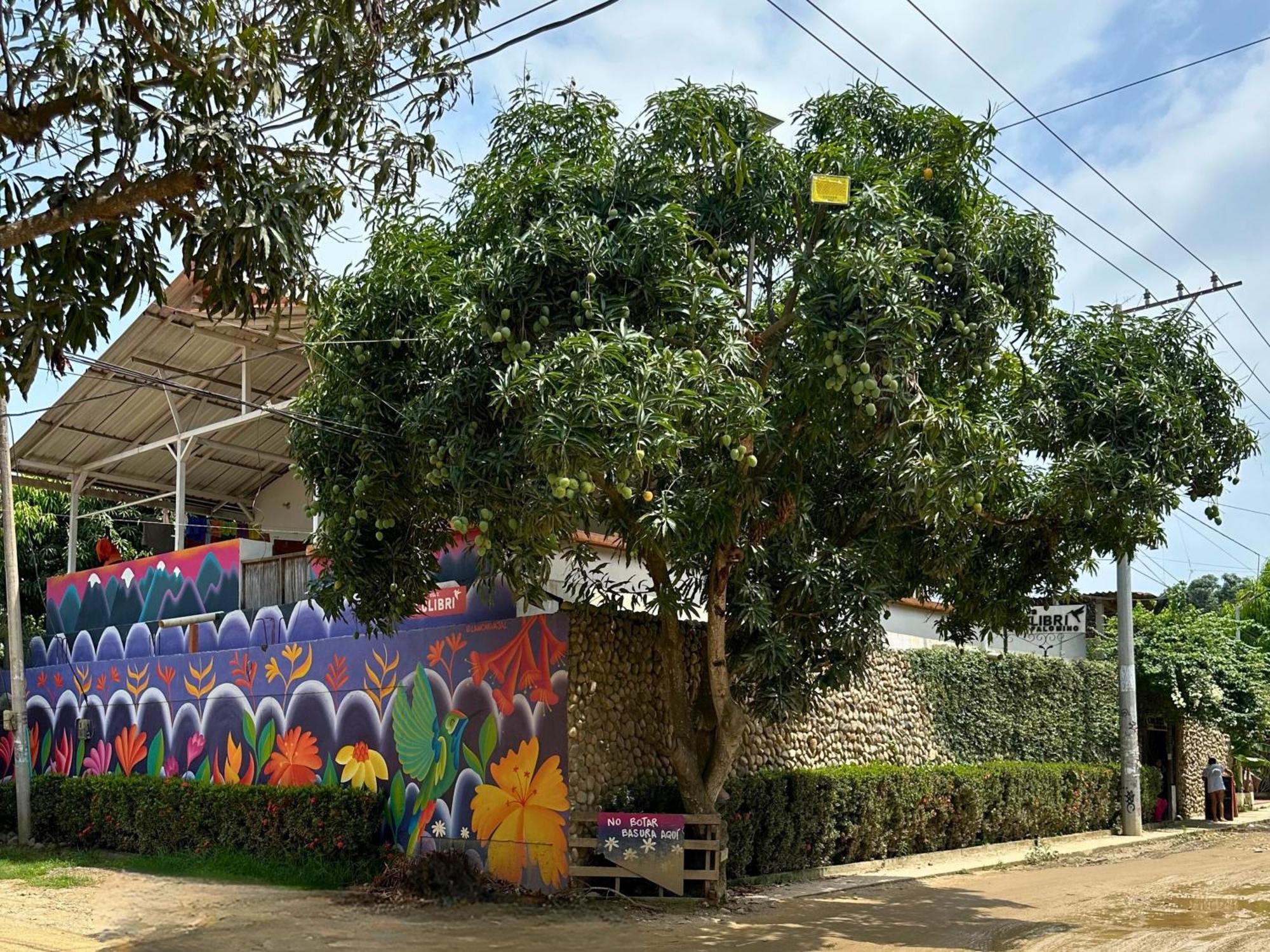 فندق Casa Colibri بالومينو المظهر الخارجي الصورة