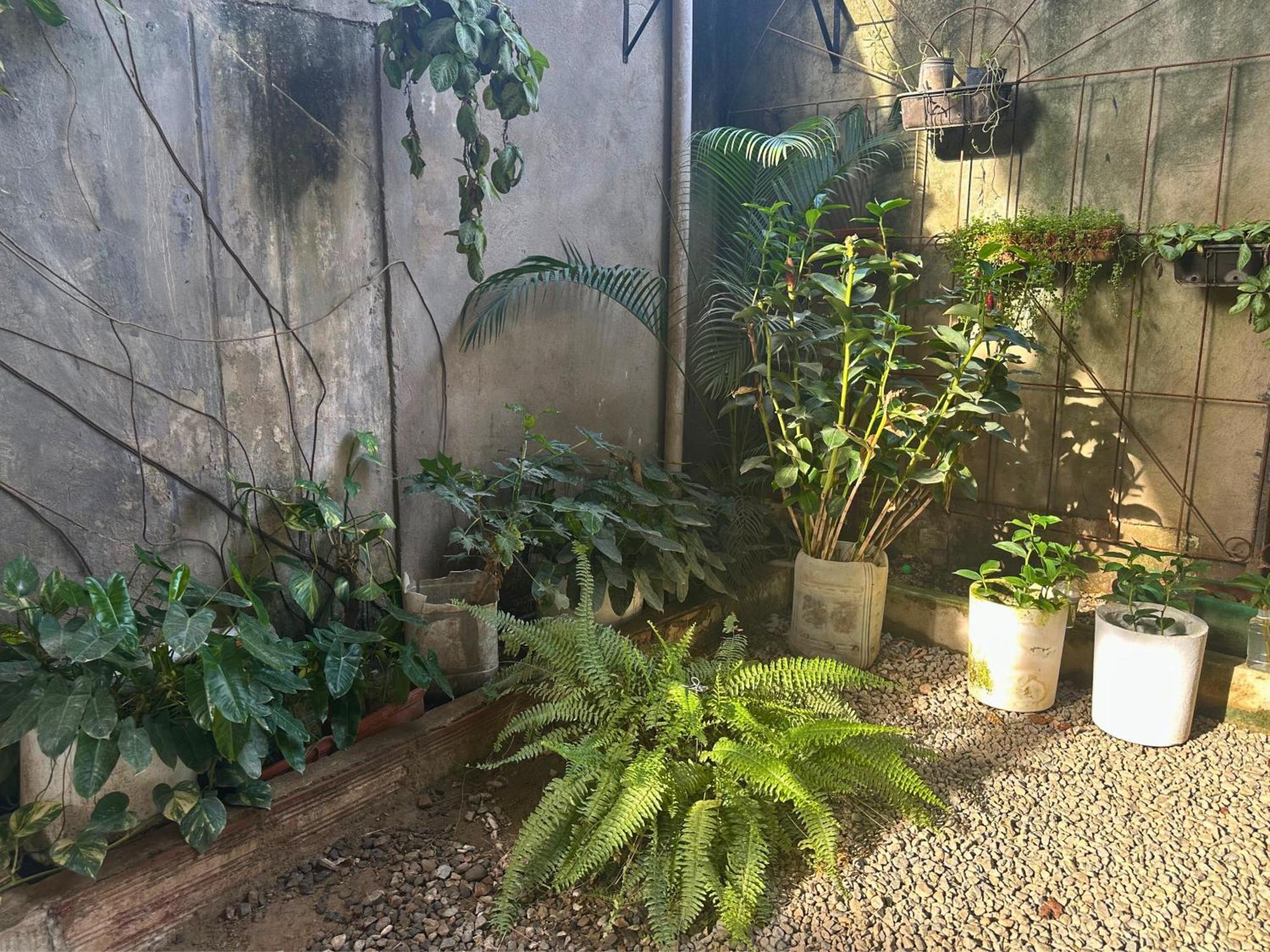 فندق Casa Colibri بالومينو المظهر الخارجي الصورة